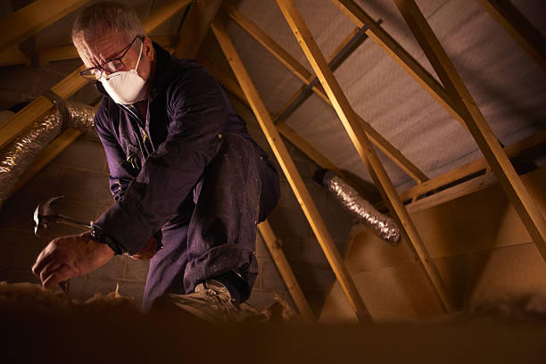 Best Insulation Materials and Products in Ramseur, NC