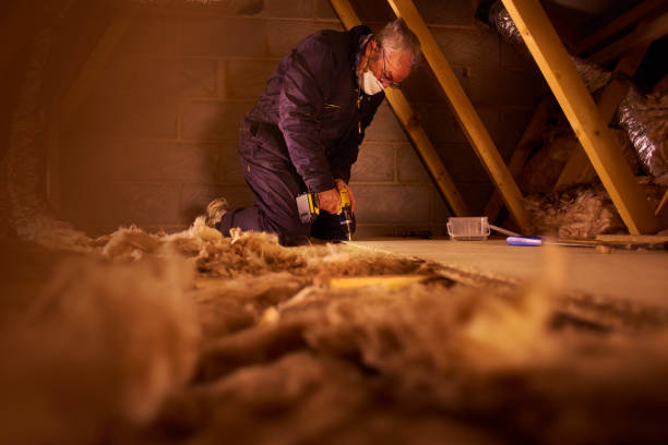 Best Residential Insulation in Ramseur, NC